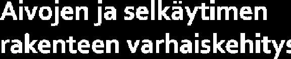 kehityspäivänä): Etuaivot (forebrain, prosenkefalon), keskiaivot (midbrain,