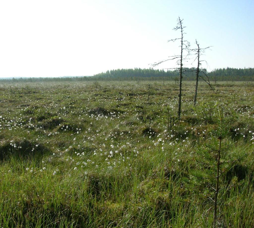 ISO-SAAPASNEVAN TURVETUOTANTOALUE Lappajärvi