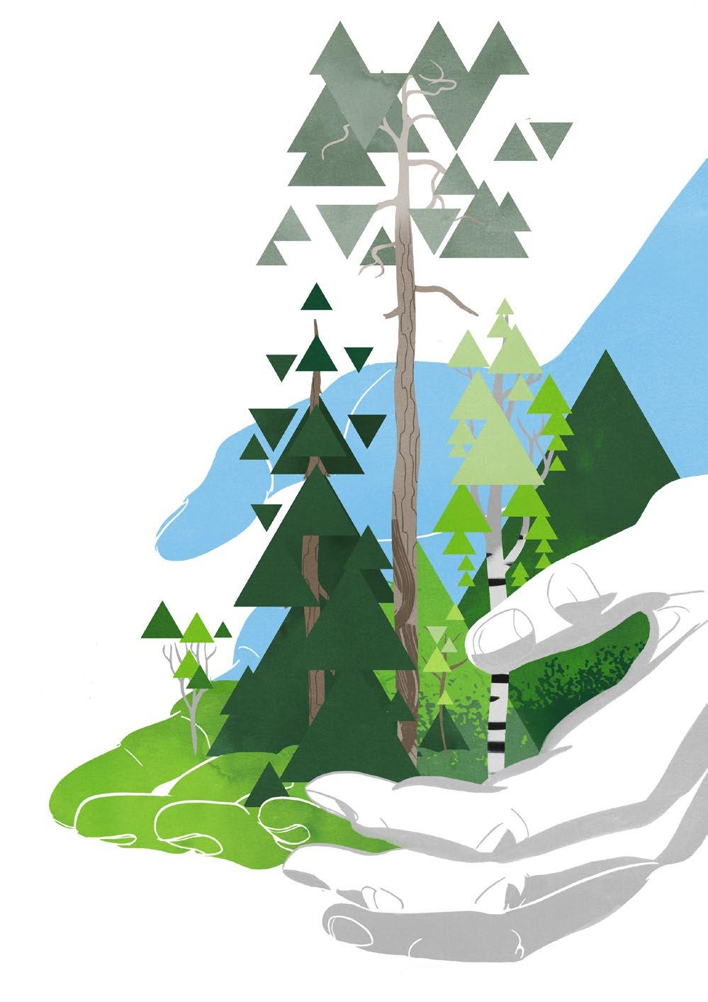 Työmme jälki näkyy suomalaisissa metsissä 90% Suomen metsäpinta-alasta on talousmetsää. Metsien hoidossa sovelletaan Tapion koostamia Hyvän metsänhoidon suosituksia, joissa huomioidaan laajasti mm.