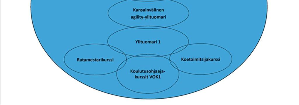 Kaudella 2015-2016 TopTeamin lajivalmennuksesta Ville Liukan vetämä valmentajatiimi, johon kuuluvat Liukan lisäksi Sanna Lehtonen, Iida Vakkuri, Senni Huotari sekä Anu Rajaheimo.