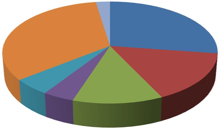 KAAVIO 2. Tyrnävän tiealueiden päällystevauriotyypit 33% 2% 27% Halkeama Verkkohalkeama Purkauma 5% 4% 12% 16% Reikä Poikit. epätasaisuus Pitkit.