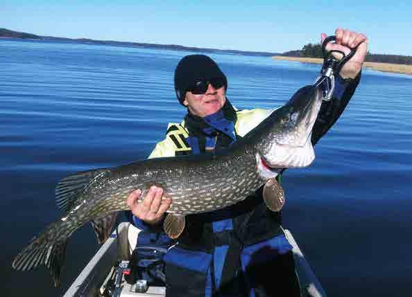 Kalastajakylän eri kokoiset vuokramökit sopivat niin, kalastajille kuin yritysryhmille. Heikki Vehmanen p. 0400 535 292 heikki@armonlaakso.
