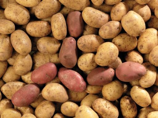 Nopean tilaajan etu 12% 15.10. asti Koppakaupalla prosentteja!