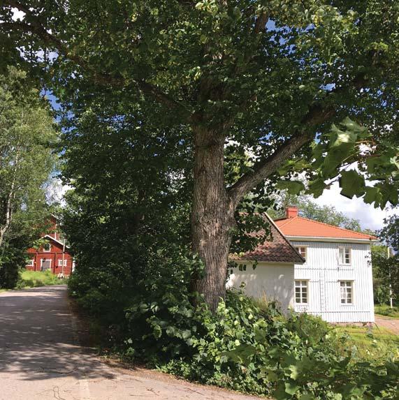 Espoon pohjois- ja keskiosien yleiskaavan kyläalueet Kylämäinen asutus sijoittuu nykytilanteessa taajama-alueiden ulkopuolelle ja sille on tyypillistä kytkeytyminen maa- ja metsätalousalueisiin sekä