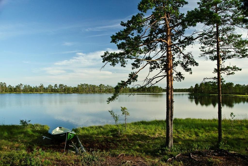 KAAVOITUSKATSAUS 2017 Kaupungin tulee vähintään kerran vuodessa laatia katsaus kunnassa ja maakunnan liitossa vireillä olevista ja lähiaikoina vireille tulevista kaava-asioista, jotka eivät ole