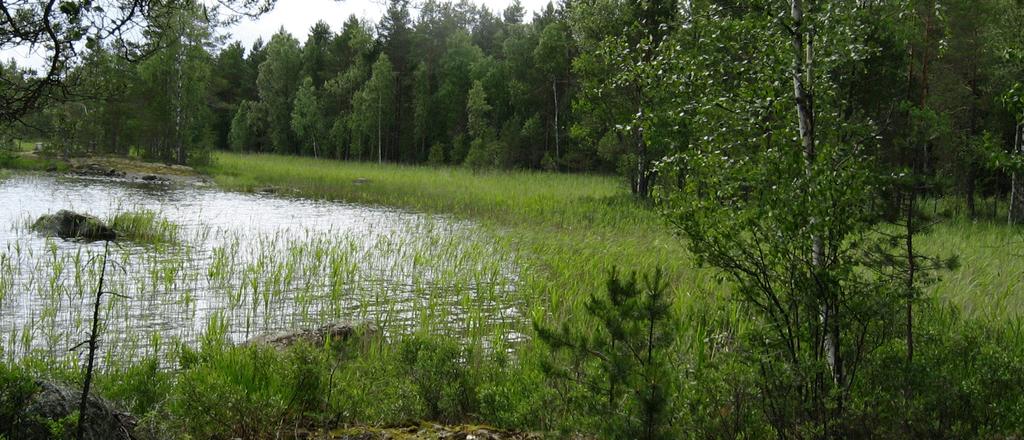 Alue, josta rakennuspaikat poistetaan (Loukonlahti).