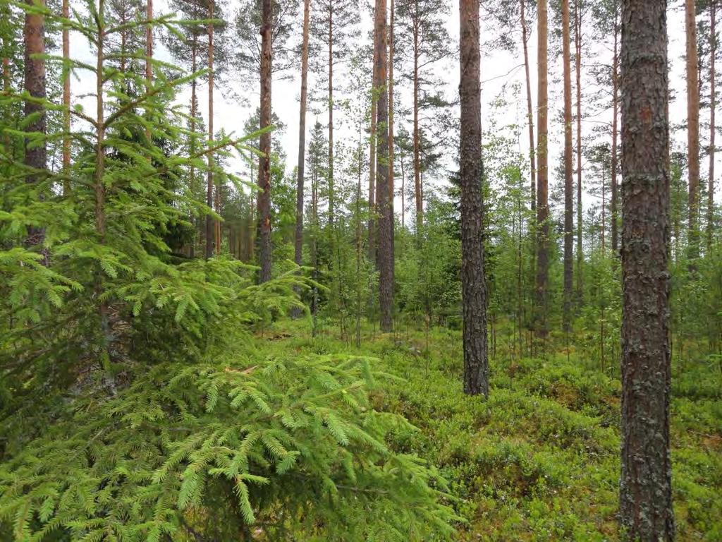 KANKAANPÄÄN KAUPUNKI Kankaanpään kaupungin 4.