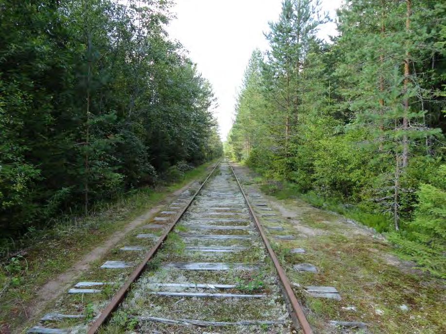 214005190 11 Asemakaavan selostus Ympäristökeskus 28.03.2017 Liikenne Alue sijoittuu kokoojakatuna toimivan Halmeenkadun länsipuolelle.