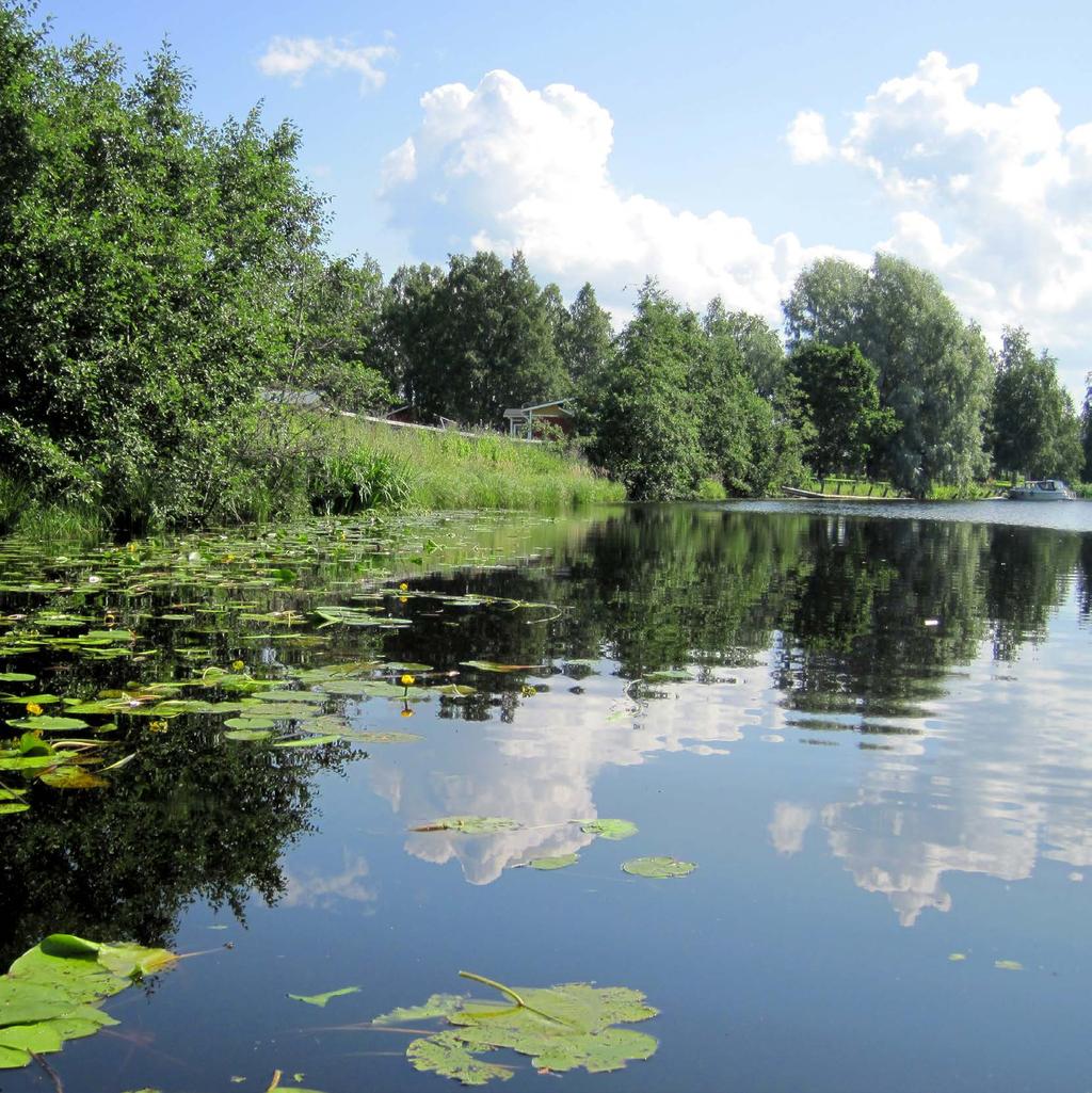 RAPORTTEJA 45 2017 Vimpelinjoen tulvasuojelu ja