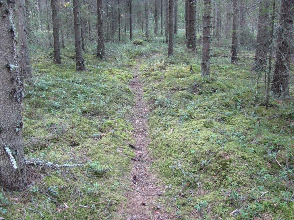 15 ja kerrossammal sekä korpirahkasammal. Varjoisan kuusikon halki kiertää polku Lahnaojan vartta seuraillen. Ei erityisiä luontoarvoja. Kuva 20.