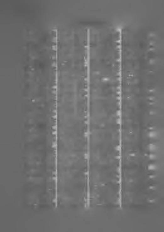 4 Metsälä. Aavasaksa... 5: Ahvola... 4:40 Alakaakamo... 4:40 Alakylä... 6: Alakylä Vi... 5: Alaniemi... 4:40 Alavus... 2: A lho... 5: Antrea as... 4: 40 Antrea kk... 4: 40 Aromäki... 5: Arpela.