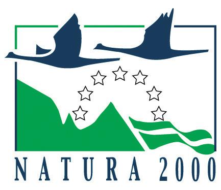11.11.2 Arvioinnin perusteet Natura-verkoston avulla suojellaan EU:n luontodirektiivin (892/43/ETY) ja lintudirektiivin (79/409/ETY) tarkoittamia luontotyyppejä, lajeja ja niiden elinympäristöjä,