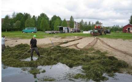 Projektin tavoitteet (2/2) Kartoitetaan yritysten/potentiaalisten yritysten kiinnostusta ja liiketoimintamahdollisuuksia vesiruton poistamiselle ja jatkokäytölle