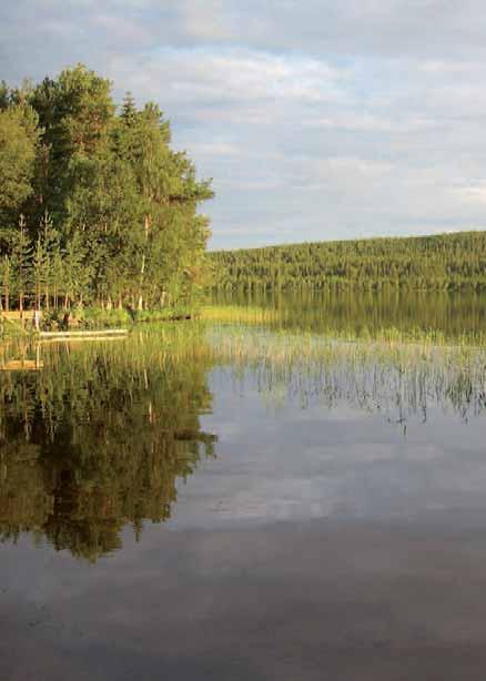 OPROEP VOOR KOPIJ EN MOOIE VAKANTIEFOTO