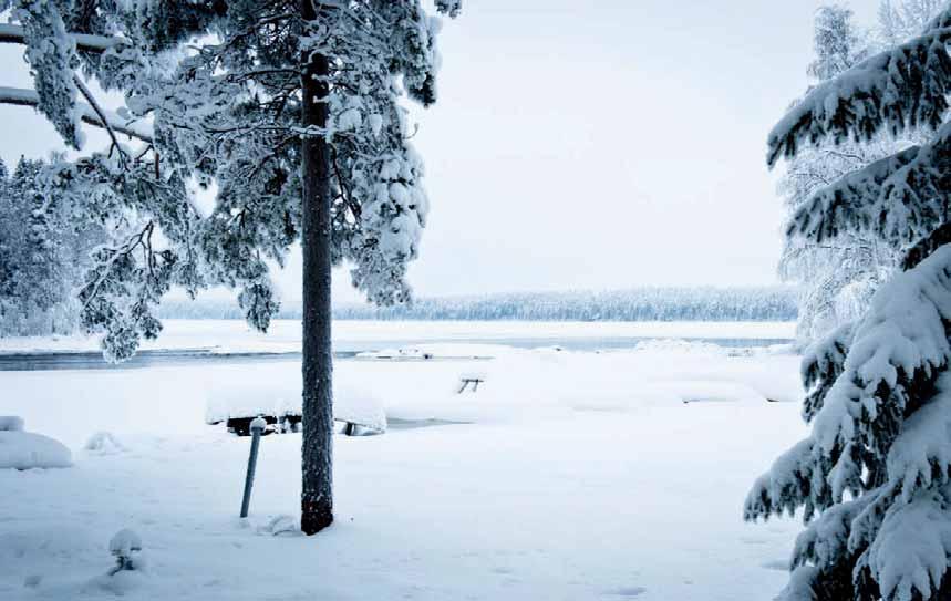 39 ja sen myötä voi myos luoda uusia tulonlahteitä. Mielestani se on myös hyvä hetki juhlistaa talven taittumista joulunajan jatkeena ja vuodenaikojen vaihtelujen juhlimisena.