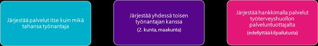 Kuva 3: Kunnan vaihtoehdot työnantajana työterveyshuoltopalvelujen järjestämisessä henkilöstölleen (1.1.2019 lähtien).