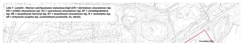 - ketoneilikka lähes vaarantunut (NT). Esiintyy kaatopaikka-alueen länsipuoleisella niityllä sekä Niemen sahan länsipuoleisessa niittymäisessä rinteessä, metsän reunalla.