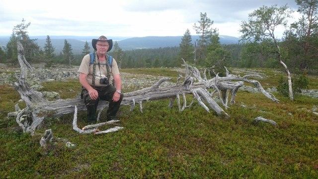 SIHTEERIN TURINOITA HEIPPA TAAS Kesä, jos niin voidaan kutsua, on jo lähes mennyt. Kevät oli Lapissa pitkä ja kylmä, toiset sanoivat, että normaali entisiin aikoihin verrattuna.