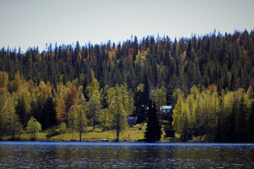 15 auton nokka kohti pohjoista. Nämä yölliset matka-ajot eivät ole minulle ongelma, vaan suorastaan nautin yökyöpelinä näistä yöajoista.