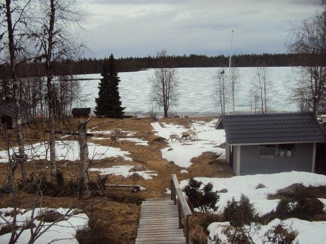 Äkkiä pois, ettei nyt laavulla ja auringossa. jää sinne väliin ja sitten Sitten kohti Kukasjärveä. omalle rannalle. Koko jää liitaas Terttu säikäytti meidät. Hän tuli hakemaan autoltaan jotain.