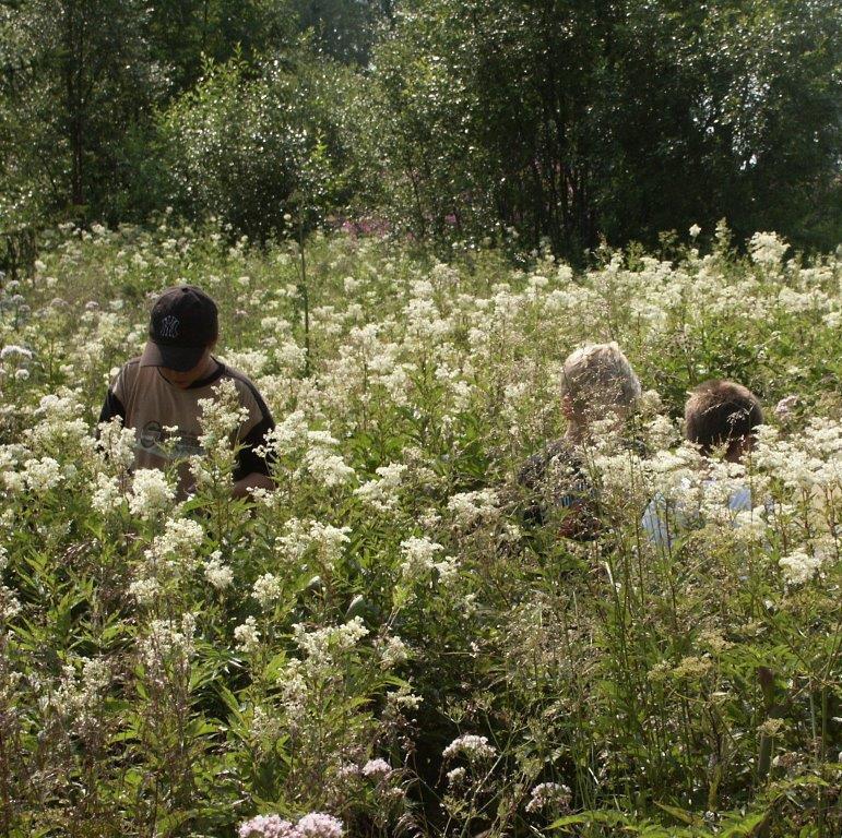 maankäyttötarpeiden yhteensovittamisessa on onnistuttu siten, että kaikilla on mahdollisuus kasvaa Tavoitteenamme on, että Lappi on elinkeinorakenteeltaan monipuolinen ja ketterästi toimiva.