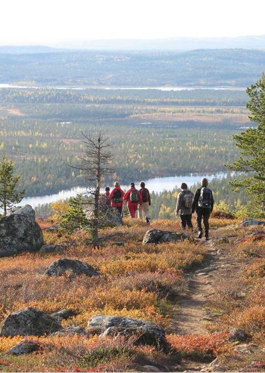 Vuonna 2021 Lappi on arktinen, avoin ja älykäs. Me teemme maailman puhtaimmassa maakunnassa kestävästi menestystä.