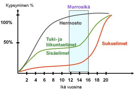 Kuvasta pystyy päättelemään, että nuorempana on hyödyllistä harjoitella sellaisia ominaisuuksia, jotka vaativat kehittyvää hermostoa, mutta eivät rasita tuki- ja liikuntaelimiä.