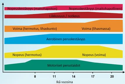 Lääkäri/valmentaja Harri Hakkarainen on hahmotellut