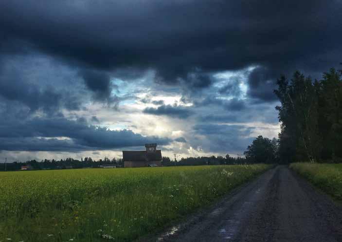 Taina, ruokalähettiläs Juhlavuoden kuumat