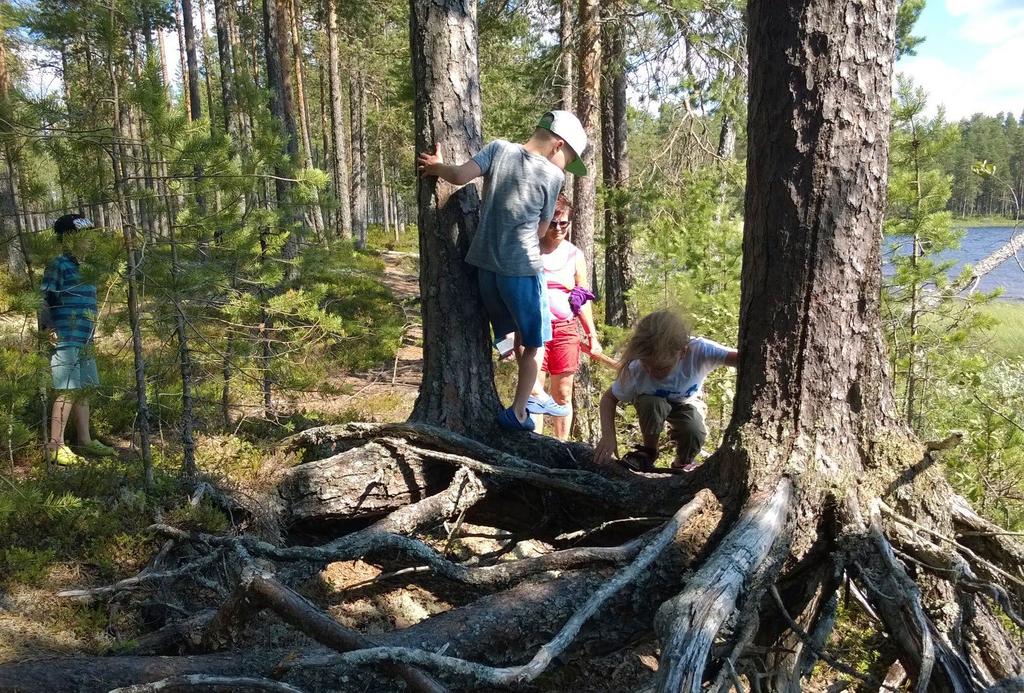 Lasten luontoseikkailu Kuhamajalla 22.4. Huhtikuun tapahtumia Vie lapsesi ulos luontoon! Metsä on täynnä kaikenlaista jännittävää, ja yhdessä sinne lähteminen on hyvä tapa viettää aikaa lapsen kanssa.