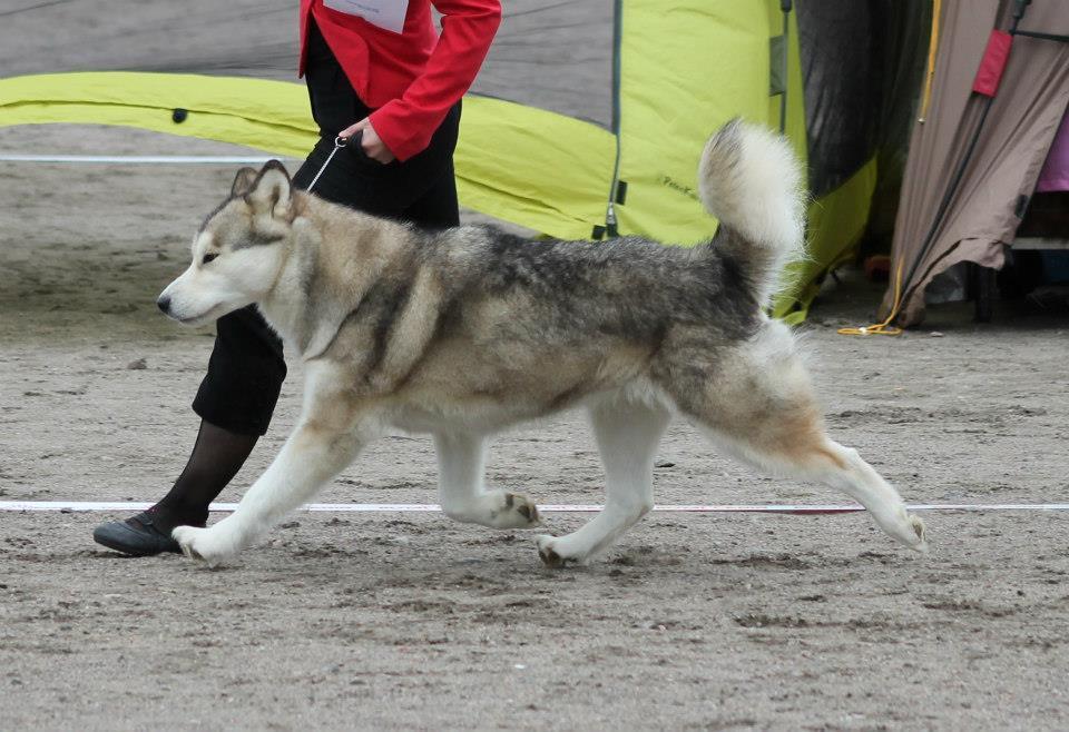Liikkeessä