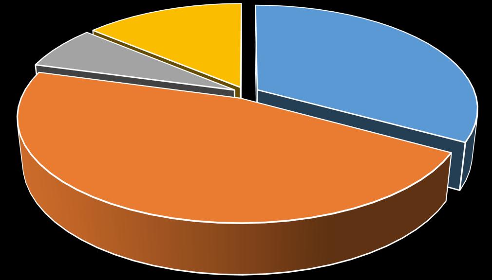 myynti- ja maksutulot; 25 % muut tulot; 13 % verotulot; 41 %