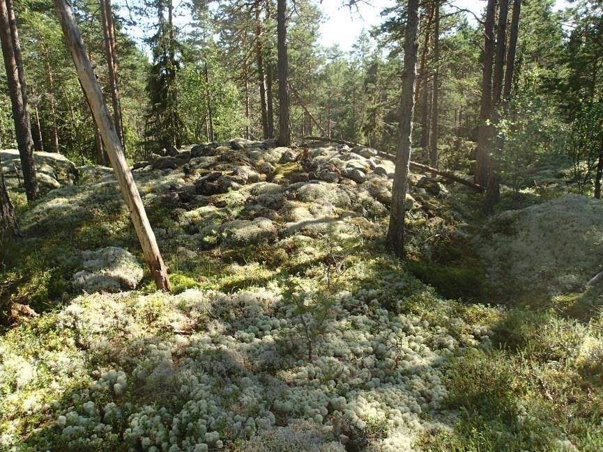 18 Huomiot: Bilund & Sepänmaa 2013: Kohde sijaitsee röykkiökohteesta Tjöck-Pellefolk 2 noin 160 m eteläkaakkoon, kaakkoon viettävän kallioharjanteen päällä.