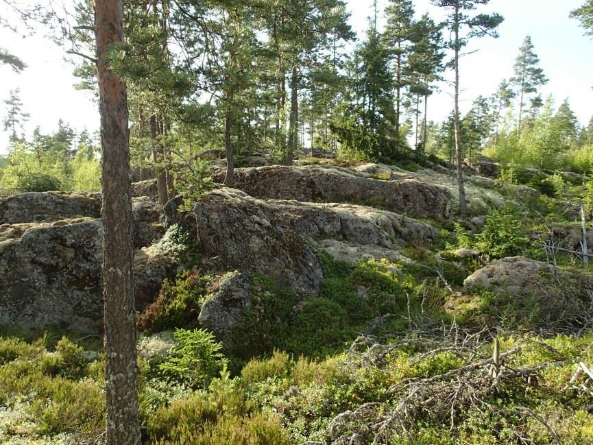 21 Huomiot: Bilund & Sepänmaa 2013: Kohde sijaitsee Molnängsbackenin eteläosassa Västra Ängenin koillispuolella.