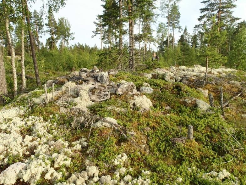 Huomiot: Bilund & Sepänmaa 2013: Kohde sijaitsee Molnängsbackenin pohjoisosassa, kallioharjanteen luoteislaidalla, pienellä kallionyppylällä.