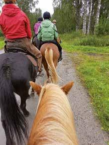 Itsensä arvosteleminen oli kiellettyä. Valitsimme kuvista yhden, jonka näytimme parille. Tässä minä olen! Niin olet! Olet siinä ihana, levollinen, juuri sellaisena kuin olet!