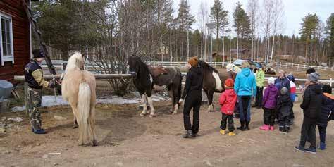 ALUEET TIEDOTTAVAT E LUONNONPÄIVÄ LAPAKISTOSSA TEKSTI JA KUVA KIRSI LÄDERBERG P äijät-hämeen alueosasto vietti keväistä Luonnon päivää 20.5. Lahdessa Lapakiston luonnonsuojelualueella retkeillen.