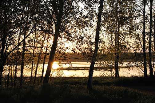 Terveisiä ammattiosastoltamme! Miten me jaksetaan, tuo kysymys kuuluu varmaan monen suusta? Työelämä on muuttunut kiireisemmäksi ja kuormittavammaksi monilla aloilla.