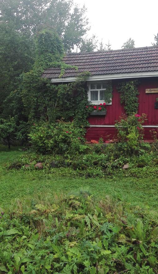 Toimiston Lounais-Suomen aina iloinen ja hyväntuulinen Pirjo Diabetesaseman