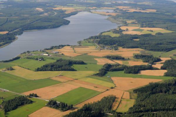 Kuormitusarviot Kirmanjärveltä verrattuna aikaisempiin tutkimuksiin 2011 2012 Seuranta-alue Koko, ha Pelto-% Kok-P Kok-N Kok-P Kok-N kg ha -1 a -1 kg ha -1 a -1 1 Ruostepuro 300 32 0.3 9 0.