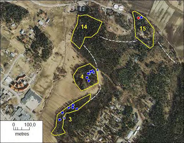 3. Mustamäki II (osa-alue 1) Tämä alue sijaitsee Mustamäen asuinalueen länsipuolella pellon reunassa (kuva 25).