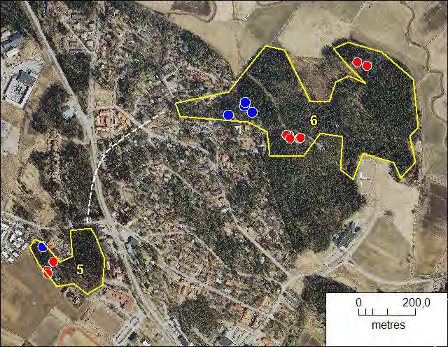 5. Alitilantie (osa-alue 1) Alue on varttuvaa varttunutta kuusivaltaista metsää, länsiosassa on melko paljon haapaa. Alue rajoittuu lounaassa peltoihin, muualla on rakennettua ympäristöä.