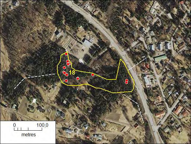 Kuva 32. Kohde 17: liito-oravan elinalue on rajattu keltaisella ja puut, joiden alta löytyi papanoita vuonna 2009 on merkitty pistein. Metsäinen kulkuyhteys on merkitty katkoviivalla.