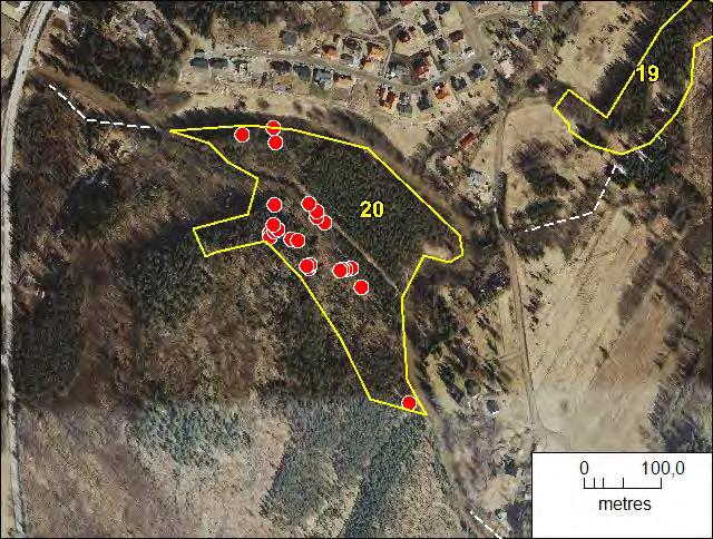 Kuva 35. Kohde 20: liito-oravan elinalue on rajattu keltaisella ja vuoden 2012 papanapuut on merkitty punaisin pistein. Metsäinen kulkuyhteys on merkitty katkoviivalla. 21.