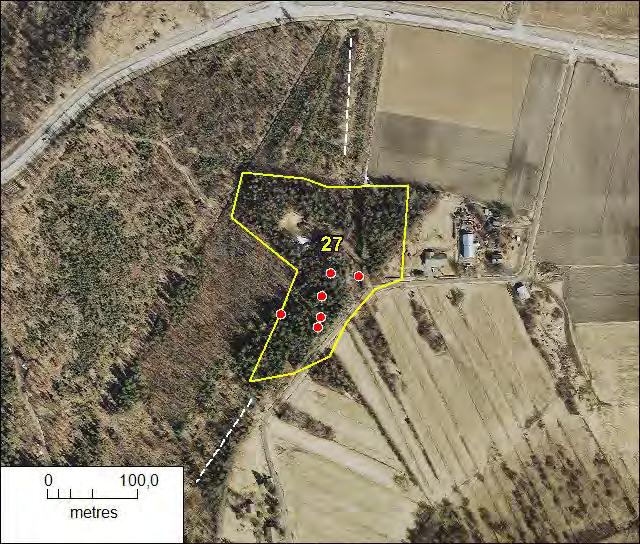 25. Isosuon länsipuoli (osa-alue 7) Isosuon länsipuolella oleva alue rajautuu Isosuon Natura 2000-alueeseen. Metsä on nuorta varttuvaa lehtomaisen kankaan sekametsää.