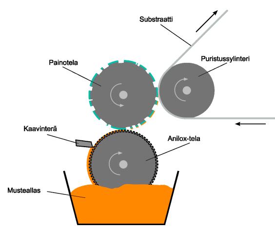 fleksopaino Fleksopaino on kohopainomenetelmä, jossa painolaattana käytetään joustavaa materiaalia.