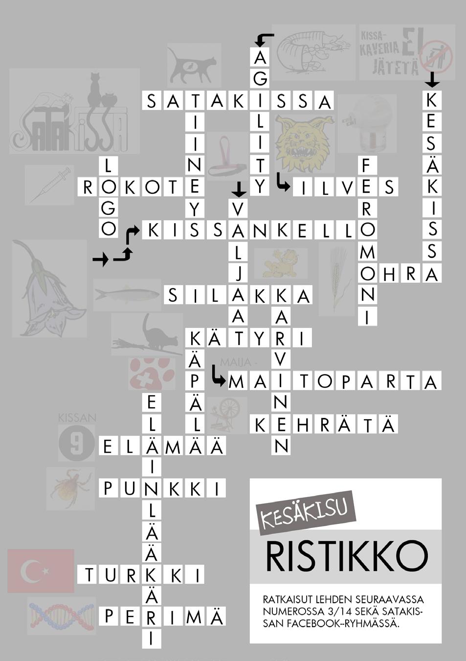 Kissaliiton lyhenteenä käytetty SRK jää historiaan. Sen korvaa jatkossa lyhenne SK. Omakissa-palvelulle löytyy tukisivusto facebookista. Ko.