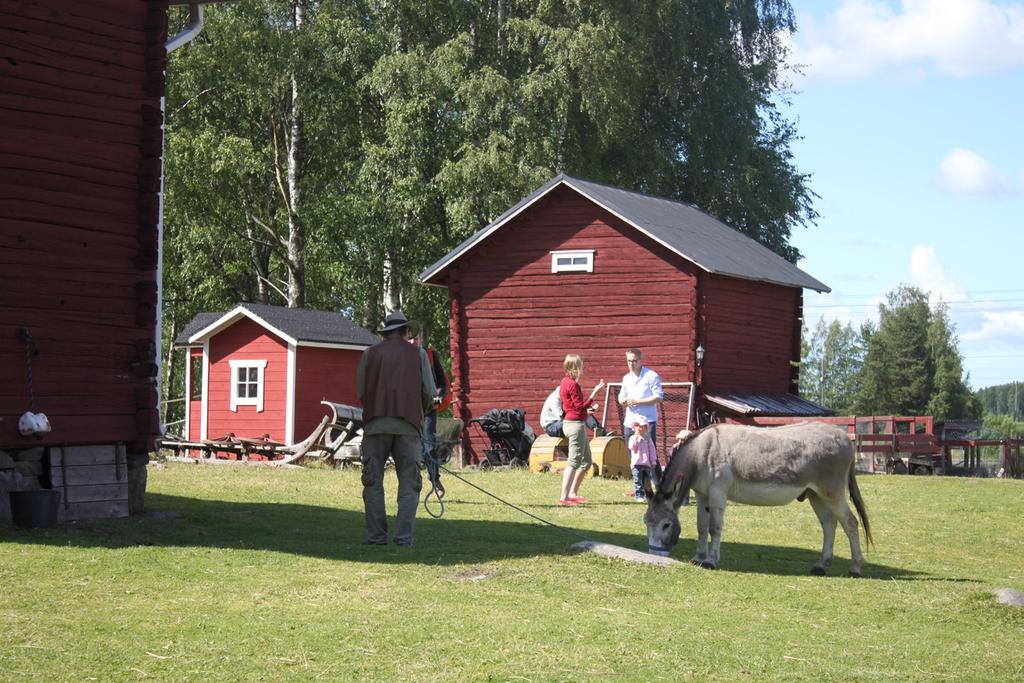 kahvion toiminnasta pihamaksujen lisäksi. Niillä katetaan kaikki eläinten hoito.