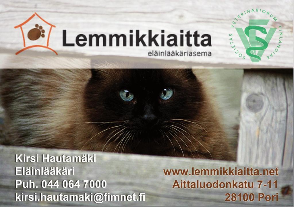SATA KISSAA...ja enemmänkin elää yhdistyksen jäsenten kodeissa sulostuttamassa jokapäiväistä elämää.