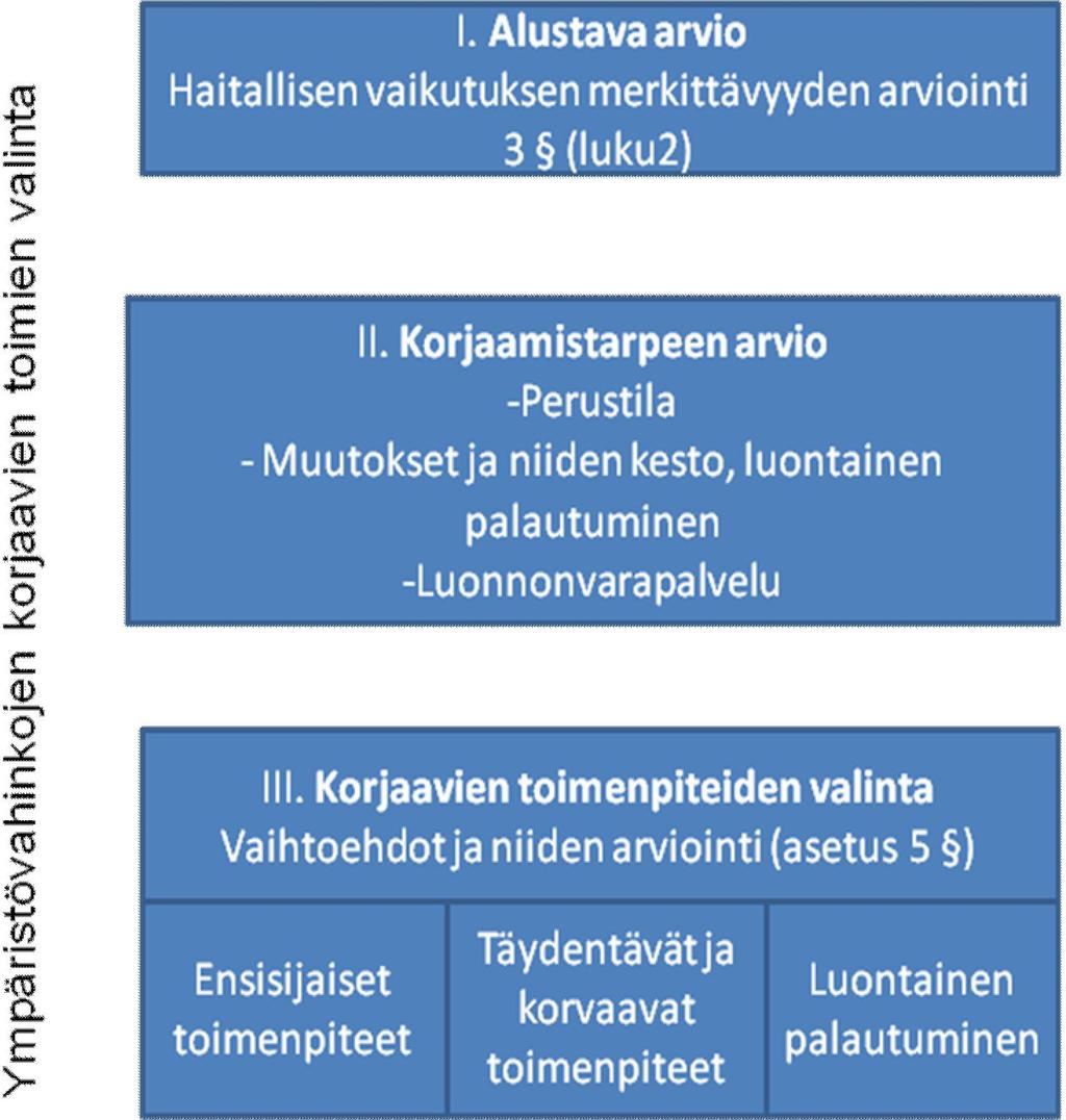 Kuva 5. Merkittävien ympäristövahinkojen korjaavien toimien arviointi ja valintaprosessi. I.